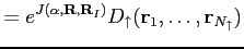 $\displaystyle =e^{J(\alpha,\mathbf R,\mathbf R_I)}D_{\uparrow}(\mathbf r_1,\dots,\mathbf r_{N_\uparrow})$