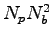 $N_pN_b^2$